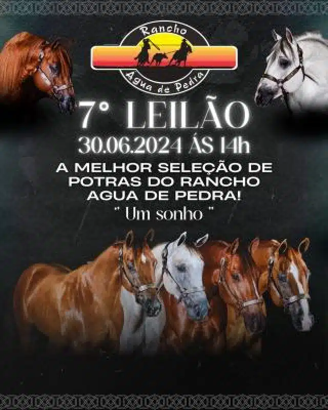 leilão rancho agua de pedra