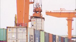Brasil: de importador a gigante na exportação de alimentos em 50 anos