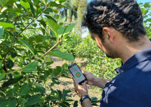 Homem usando celular na plantação