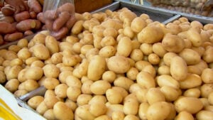 Entenda o que está por trás da alta do preço da batata