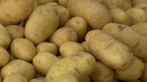 batatas
