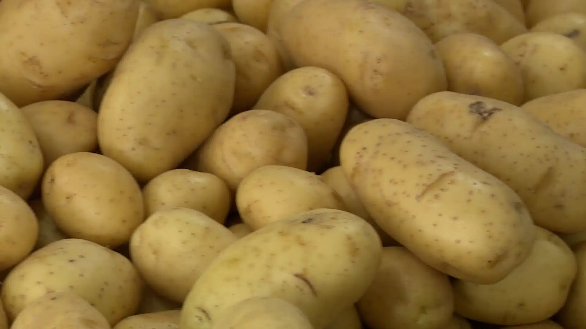 batatas