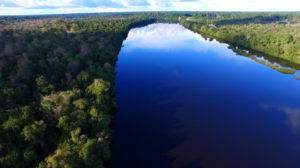 Imagem aérea da Floresta amazonica