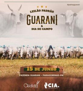 Divulgação leilão Guarani