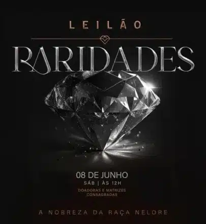 Acompanhe o Leilão Raridades Nelore