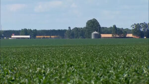 fazenda com silos de armazenamento