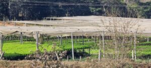 Propriedade rural