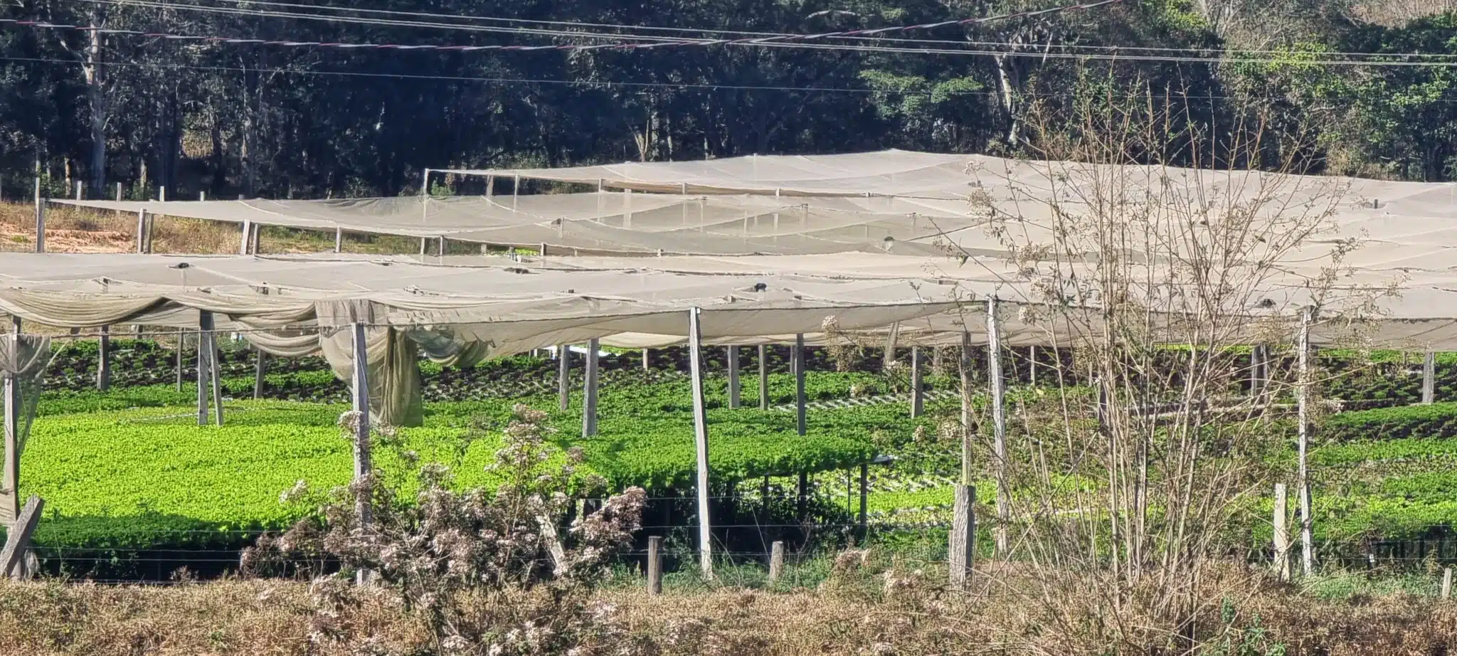 Propriedade rural