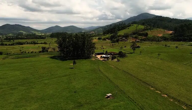 Dia do agricultor