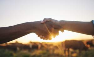 Agronegócio emprega mais trabalhadores em 2025