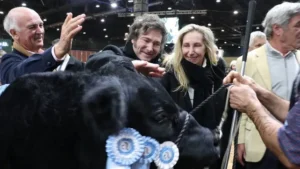 Javier Milei corta retenciones da carne e zera a de lácteos, entenda impacto no Brasil
