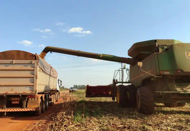 A produtividade do milho safrinha 2023/2024 em Mato Grosso do Sul está entre as mais baixas dos últimos dez anos.