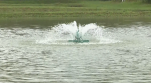 agua jorrando em um lago