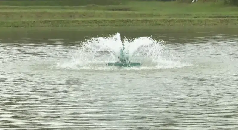 agua jorrando em um lago