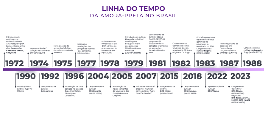 linha do tempo