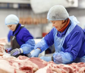 Brasil: Produção de carnes bovina, suína e de frango bate recorde