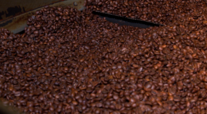 Café no concreto: pesquisa une sustentabilidade e inovação