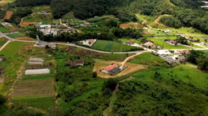 Dia do Agronegócio: veja iniciativas para potencializar a sustentabilidade no setor