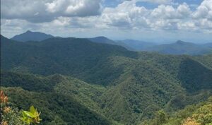 Lei altera limites do Parque Nacional da Serra do Itajaí