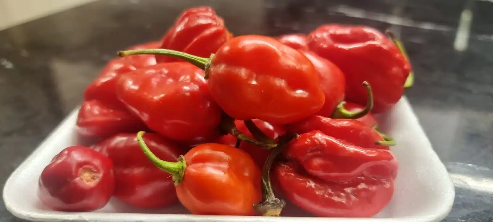 Pimenta habanero