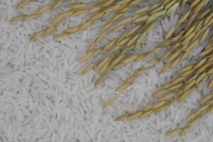 arroz
