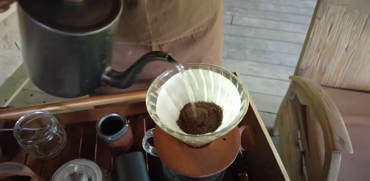 Kopi Luwak