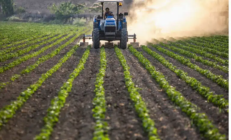 Governo define regras do Desenrola Rural, que entra em vigor em 10 dias. Descontos podem chegar a 80% e valem para dívidas do Pronaf.
