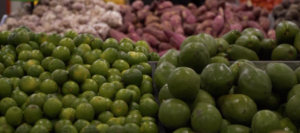 Artigo: Impactos da Lei do Autocontrole na cadeia produtiva de alimentos e bebidas