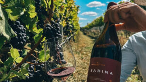is é eleito o melhor tinto brasileiro em concurso internacional. Essa é a terceira vez que o rótulo recebe a premiação.