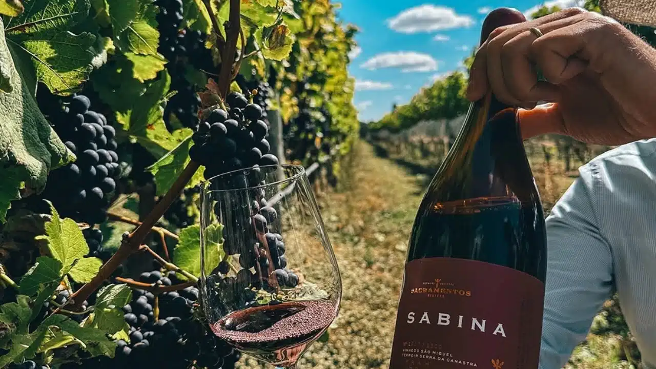 is é eleito o melhor tinto brasileiro em concurso internacional. Essa é a terceira vez que o rótulo recebe a premiação.