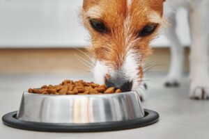 Certificação de ração animal para exportação fica mais rápida no Brasil
