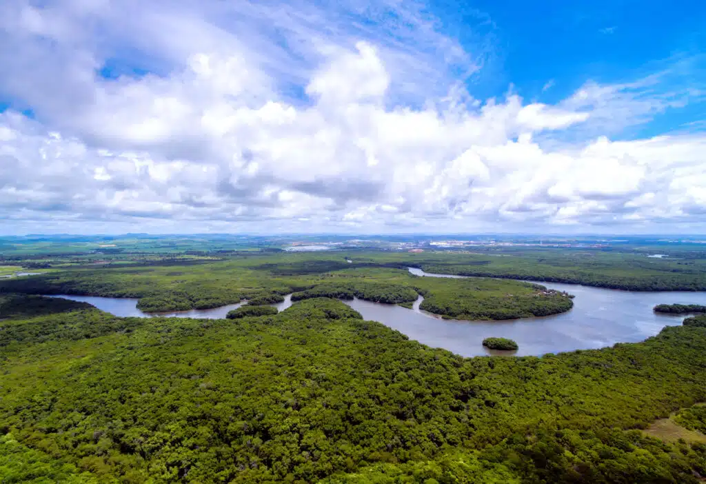 amazônia