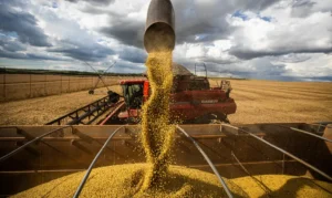Safra de grãos do Brasil deve bater recorde