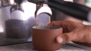Anvisa proíbe três marcas de café fake por risco à saúde e fraude