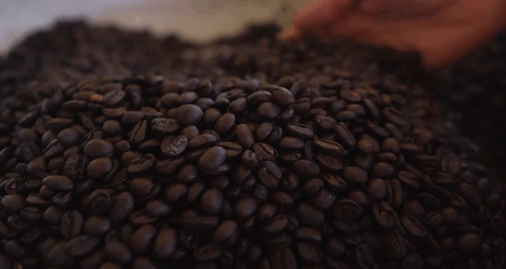 Tarifa dos EUA ameaça exportação de café brasileiro. O Brasil é o maior exportador mundial. Confira a análise dos pesquisadores do Cepea.