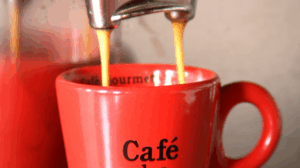 Setor cafeeiro reage à tarifa de 50% nos EUA