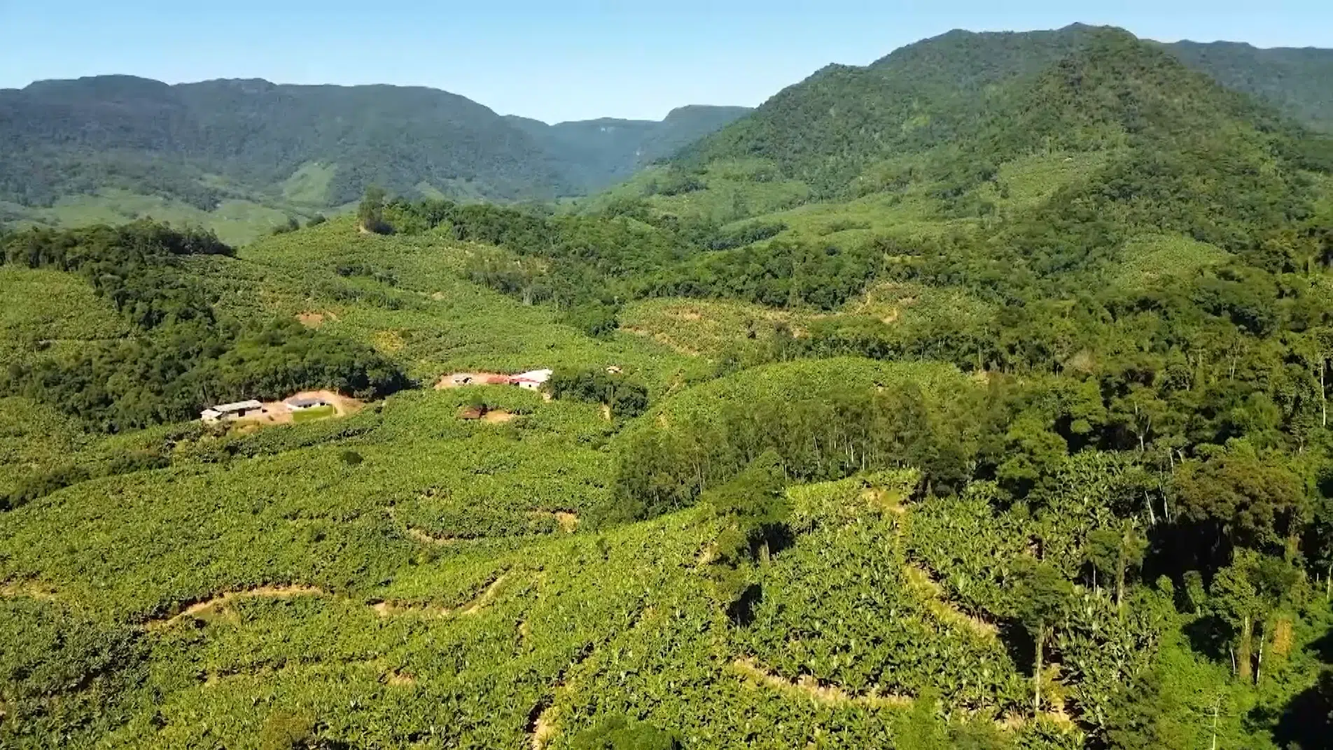 área agrícola próxima à vegetação nativa preservada