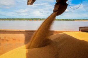 Rondônia celebra crescimento da produção agrícola do Brasil
