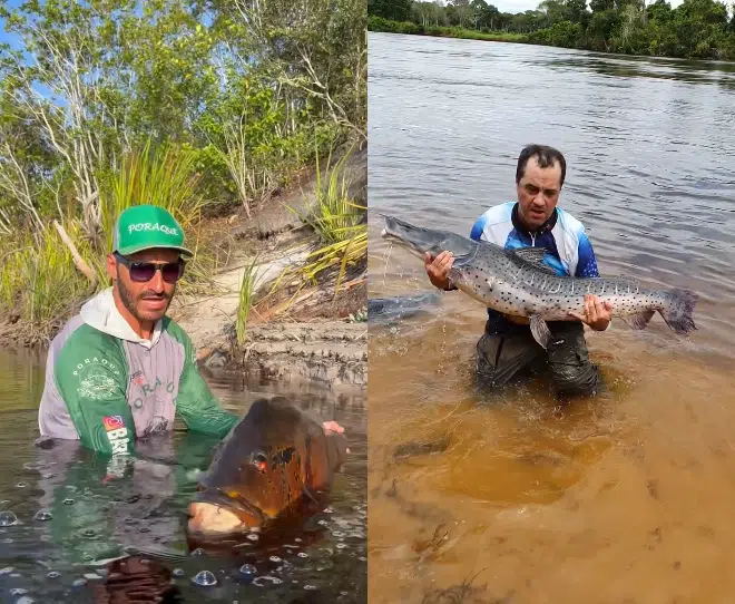 pesca esportiva