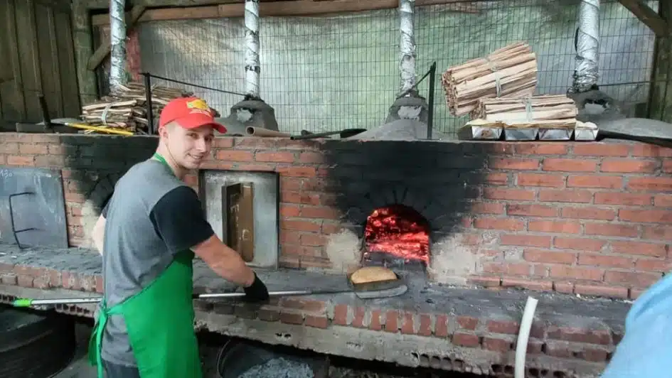 alimentos