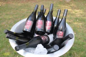 Vinhos finos de Minas Gerais brilham na Wine Trade Fair 2025