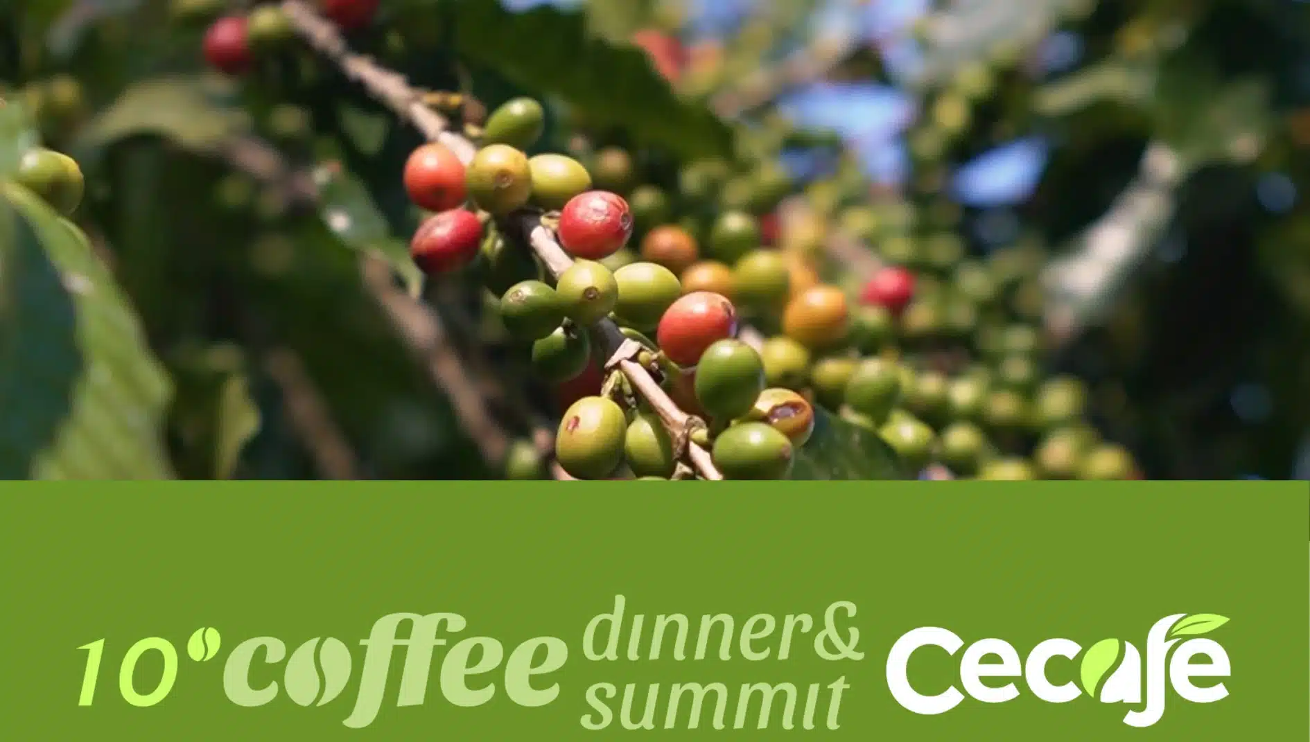 10º Coffee Dinner & Summit