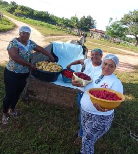 Comunidade mineira amplia produção de polpas de frutas do Cerrado