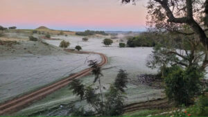 Frio intenso e geadas ameaçam lavouras no Paraná