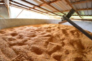 silo grãos armazenagem