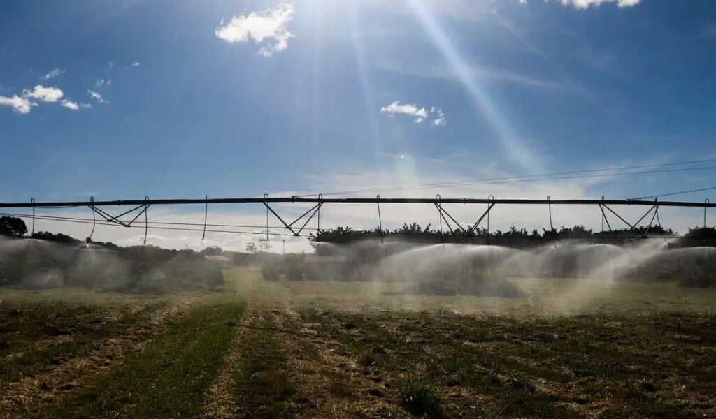 Imagem uma a irrigação em uma plantação, representando o agronegócio