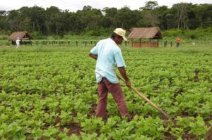 Mato Grosso do Sul recebe 1ª Conferência de Assistência Técnica e Extensão Rural