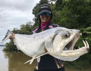 Conheça o temido peixe vampiro dos rios amazônicos