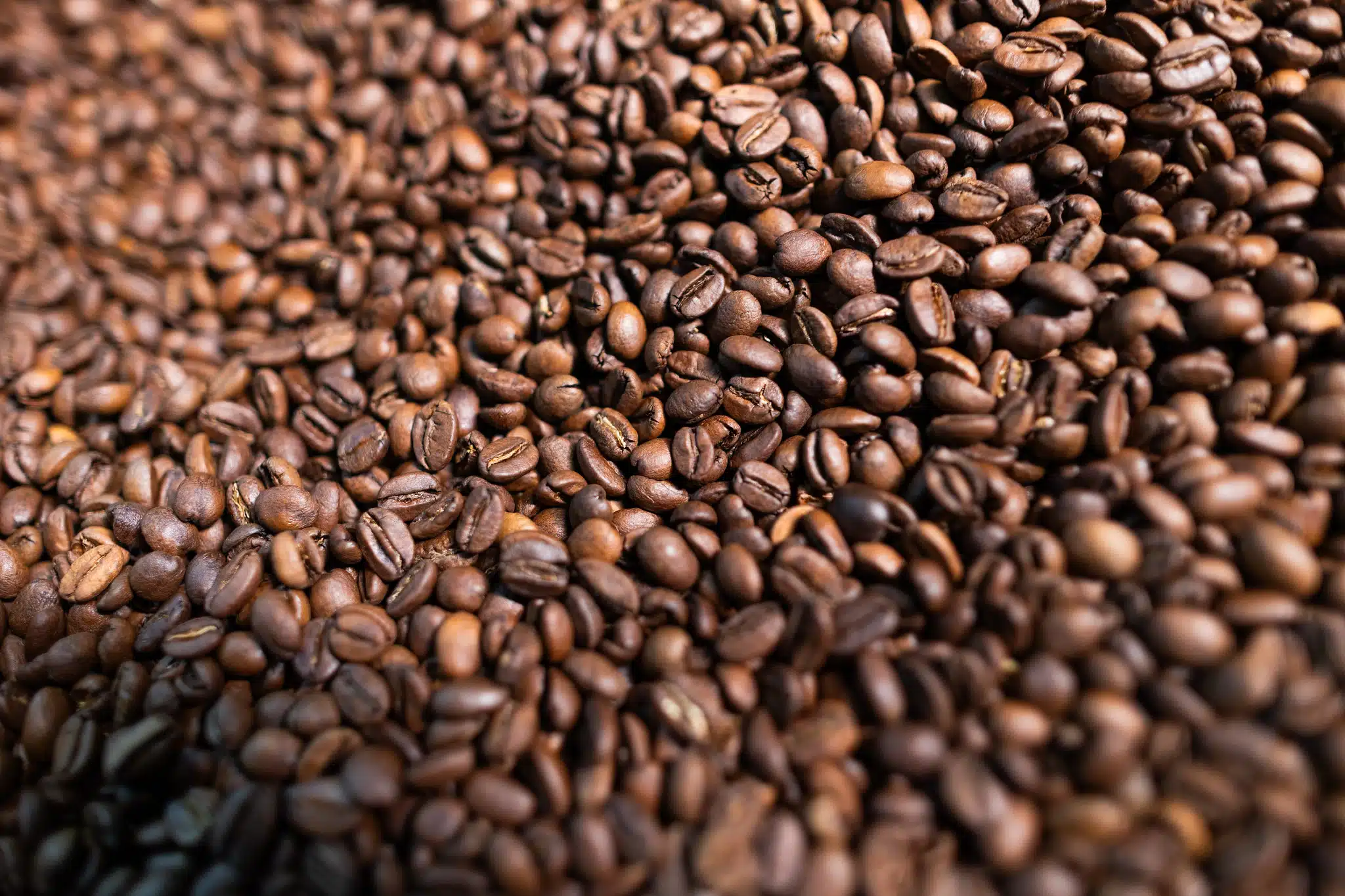 grãos de café