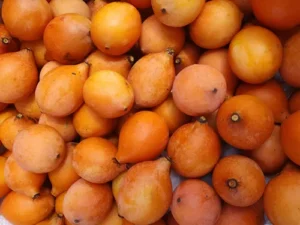 Achachairu - saiba como ganhar dinheiro com fruta da Bolívia
